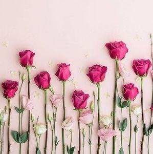 Meet your Posher, Si